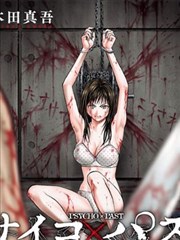 布拉芙夫人完整版 同题材片单封面